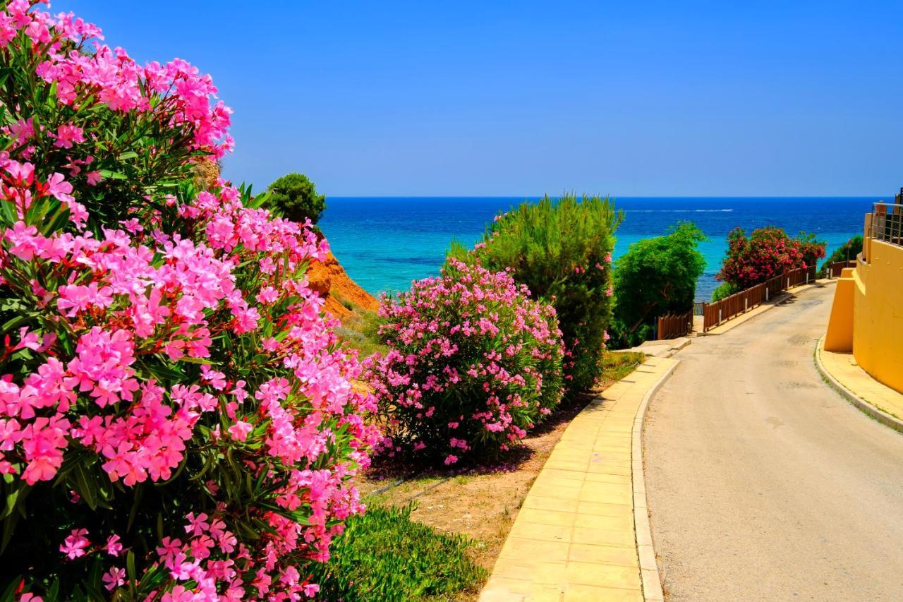 Mileniun Levante Dehesa de Campoamor  Exteriér fotografie